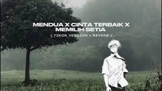 MENDUA X CINTA TERBAIK X MEMILIH SETIA (TikTok Version   Reverb )
