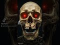 the dark skeleton #dark #creepy #skeleton #dead #skull #fear