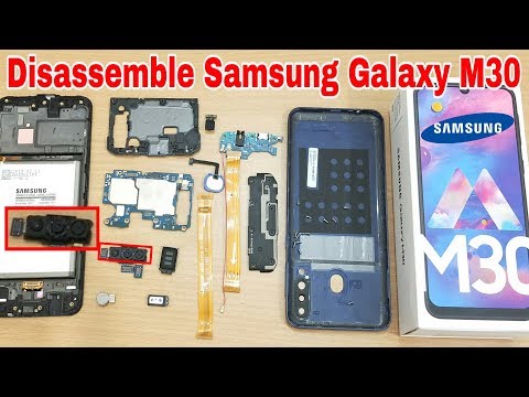 Teardown & Disassemble Samsung Galaxy M30 | Replacement All Internal Part Samsung Galaxy M30 🔋🔌🔊