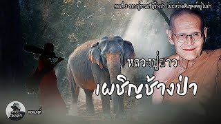 หลวงปู่ขาว เผชิญช้างป่าในระหว่างธุดงค์ทางภาคเหนือ ตอนที่ 3 | หลวงปู่ขาว อนาลโย