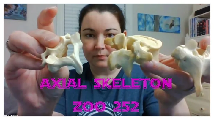 Zool 252 Lab Axial Skeletal Anatomy Review: Verteb...