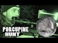 Porcupine Hunt with NIGHT VISION - Airgun Pest Control (Re-Upload)