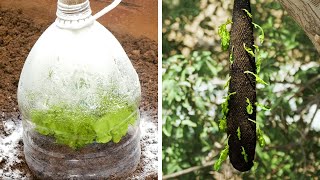 32 IRREPLACEABLE TRICKS for your home garden