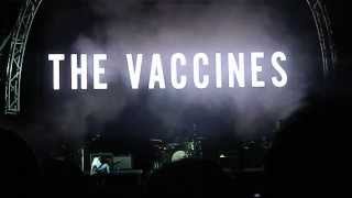 The Vaccines- Wetsuit instagram (Summer Well Festival 2013)