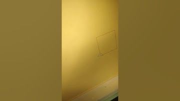 More on MSW Logo,SETPC command and SETPENSIZE command