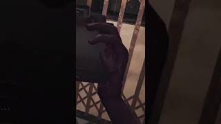 Jumpscares mnie wykończą #madison #horror #jumpscare #vr #playstation5 #scary #gameplay #games