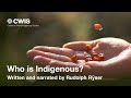 Who Is Indigenous?