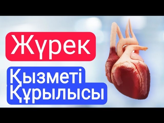 Аузында мүшесі бар қыздардың үйдегі суреттері