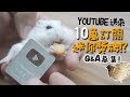 鼠與鳥的10萬訂閱迷你獎牌!Q&amp;A募集【許伯簡芝】