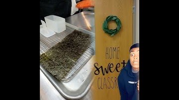 🤣👌👌👌2025 pov Must-Watch Crazy Clips Compilation #humor #fypシ #pov #fyp #foryou 😍😜