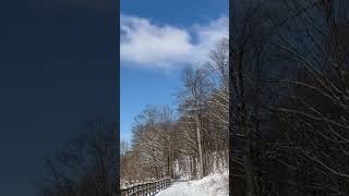 Pure Bliss, Peace, And Quiet