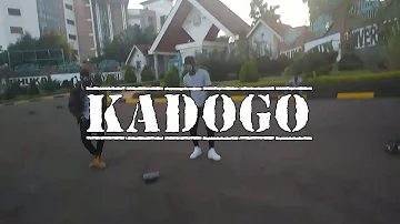 254 DC ft alikiba _kadogo choreography