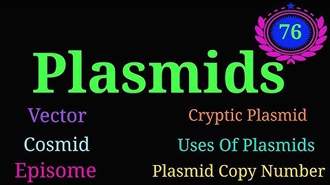 Plasmids Explained: Vector, Cosmid, Episome, Cryptic Plasmid & Uses of Plasmid @EnteMicrobialWorld