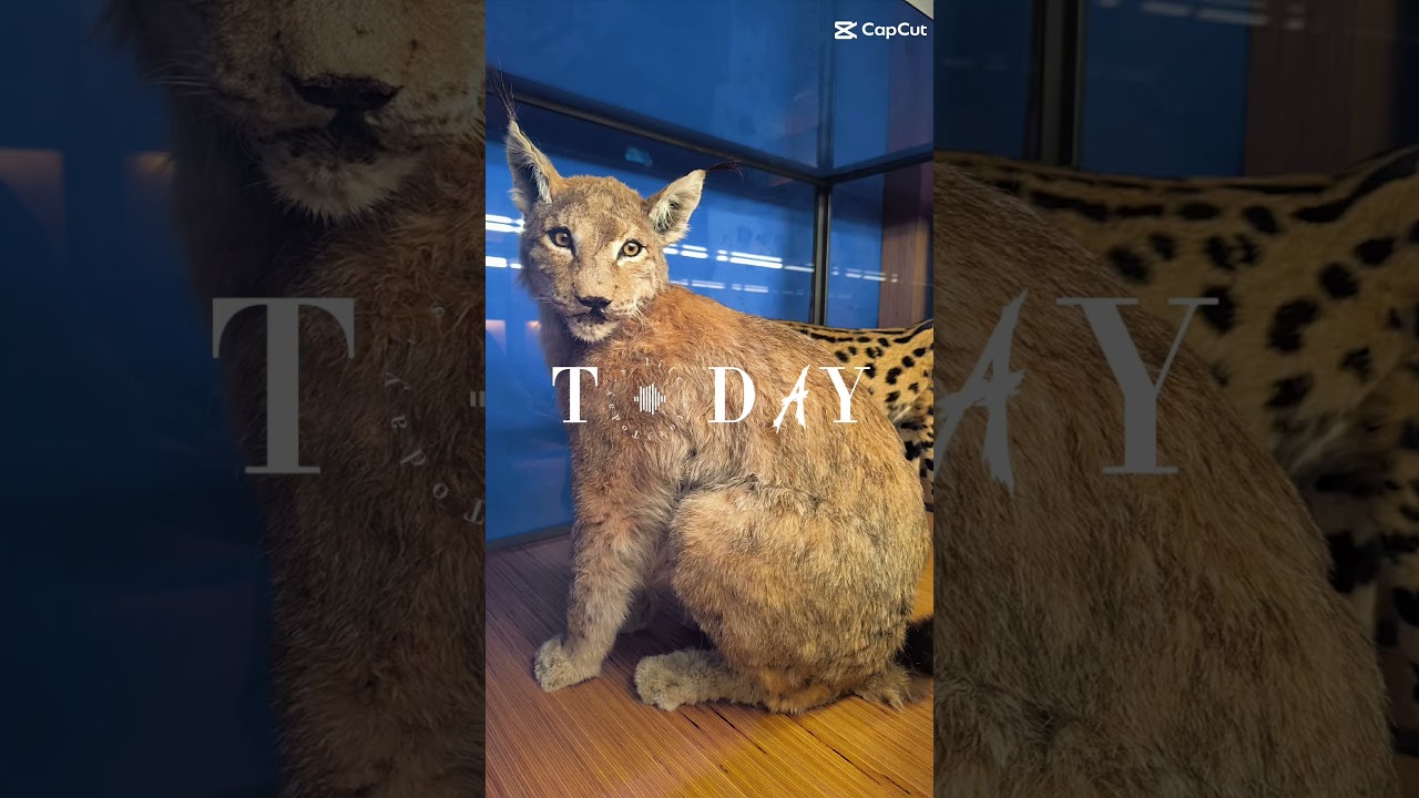 Ever been to Besançon ? 