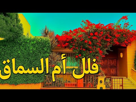 فلل أم السماق جولة داخل أرقى حي في عمان