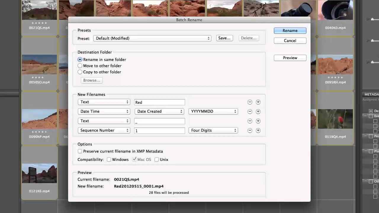 Batch Renaming Clips in Adobe Bridge - YouTube