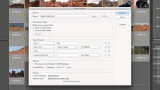 Batch Renaming Clips in Adobe Bridge
