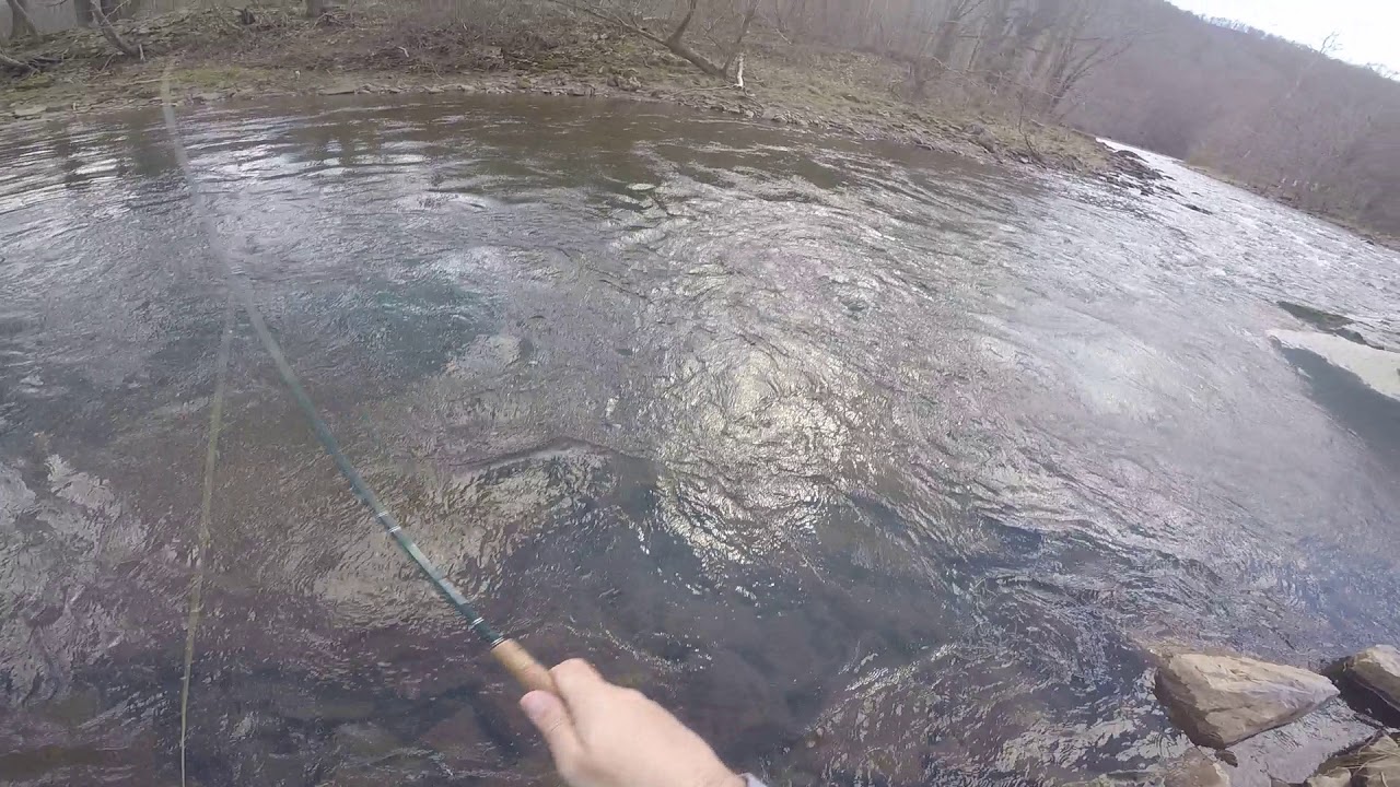 dry fork wv brown trout 3/16 YouTube