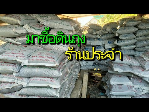 พามาซื้อดินถุงร้านประจำ