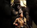 美女と森のゴリラ #shorts #ゴリラ #Gorillagorilla