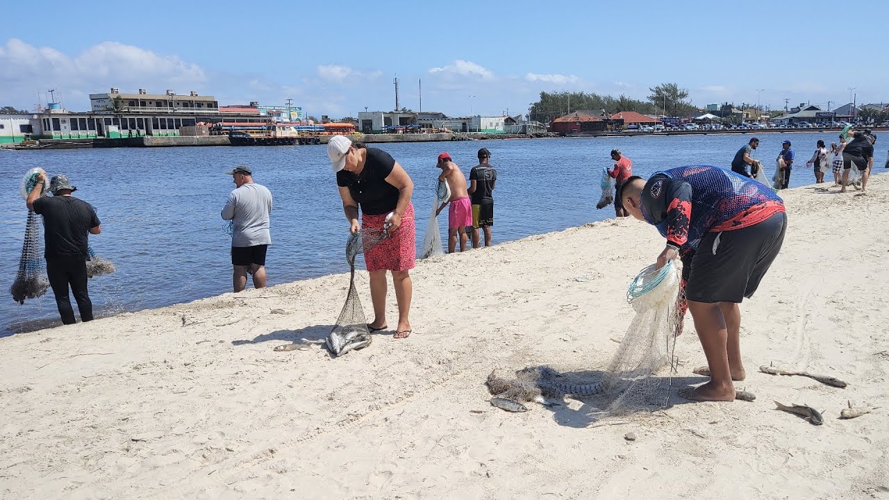 Pescas de tarrafas, 03-12-23, manhã, Barra de Tramandaí, RS. 