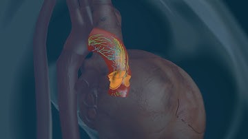 A mathematical microscope for non-invasive heart diagnostics