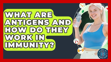 What Are Antigens And How Do They Work In Immunity? - All About the Immune System