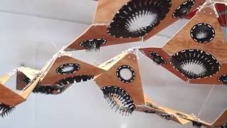 Jason Jitterbug Topology