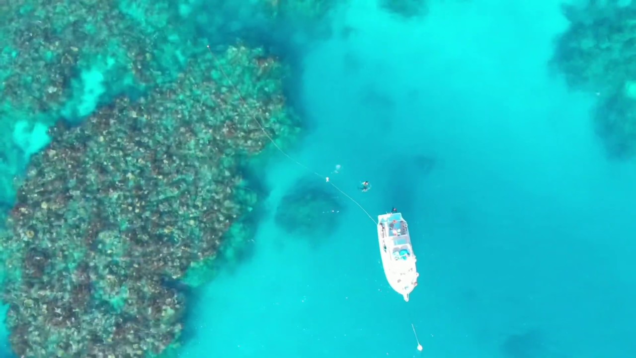 Freediving The Sea Venture Shipwreck Off The Shores Of Bermuda YouTube freediving-the-sea-venture-shipwreck-off-the-shores-of-bermuda-youtube