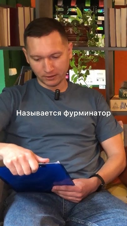 Фурминатор или коат кинг? #грумер #стрижка #кофе #кофейня - YouTube