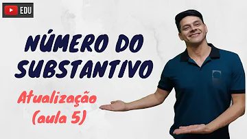 O que é flexão de números dos substantivos?