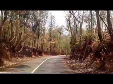 knowledge base Maredumilli, Drive through a beautiful forest in India
