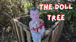 The Doll Tree ~ Creepy Ocracoke Island