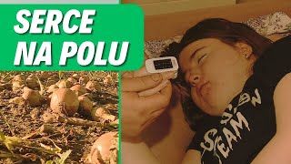 Serce Na Polu Wokół Nas