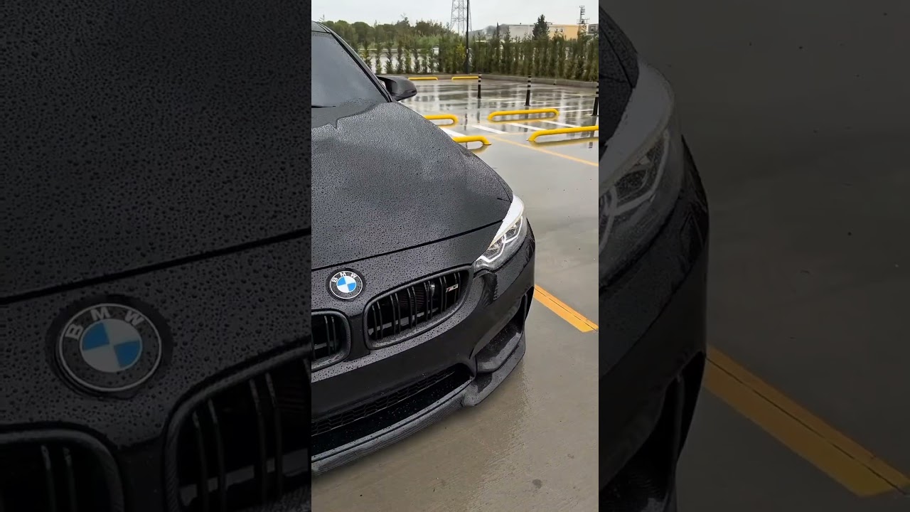 Bmw reel
