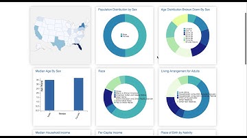 Project 2 H590 Interactive Visual Analytics