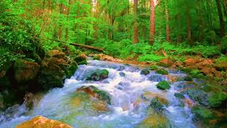 Serene Waterfall and Mountain Stream Sounds for Deep Sleep and Relaxation | Calming Nature Ambiance