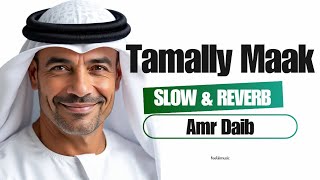 Download Lagu Tamally Maak [ Slow \u0026 Reverb ] Amr Daib / feeliiimusic MP3