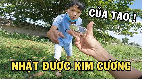 Ông chủ trại cá Betta nhặt được viên Kim Cương quý giá và cái kết