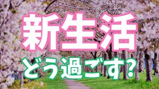 占いラボ的☆新生活のススメ！〜良いスタートを切る方法をアドバイス！〜