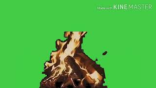 Green screen camp fire forest effect
