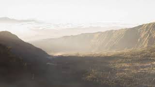 Liam Thomas - Bitter Feeling (Trailer)