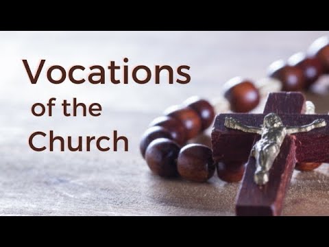 Introduction to Vocations