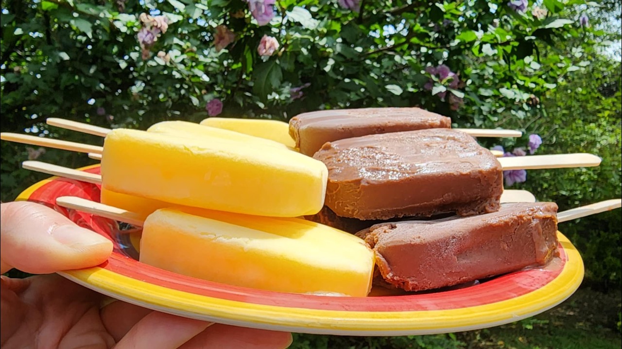 Pudding Pop - Creamy Nostalgic Frozen Treat - 100 Calories - ONLY 25 ...