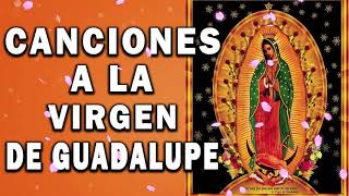 Canciones A La Virgen De Guadalupe - La Virgen De Guadalupe  - Canto De Alabanza (disco completo)