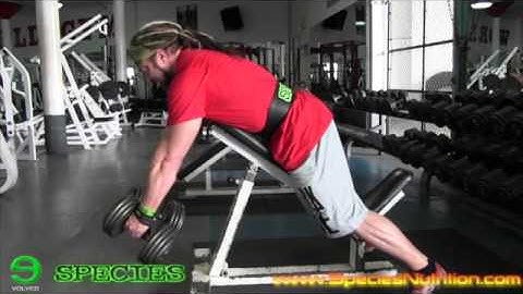 Species Video Training Series  - Incline DB Rows