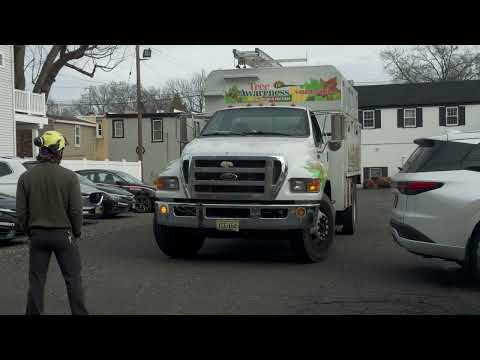 Video: Tree work in progress — Tree Awareness