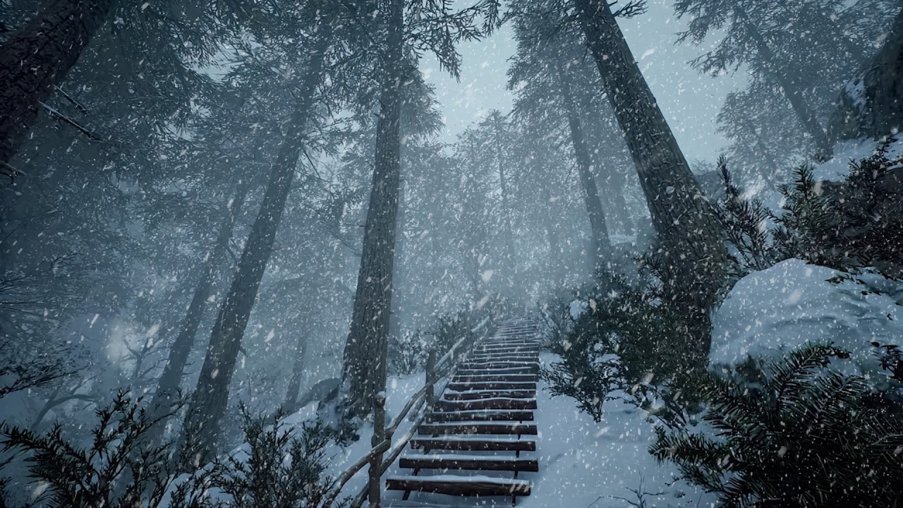 3 Hours of Heavy Snowfall Sounds ❄️ Cozy Winter Forest Ambience for Deep Sleep & Study, No Music