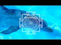 Дельфинотерапия 🐬  Исцеляющие звуки дельфинов | Dolphins sounds and noises |  Дельфин 🐬