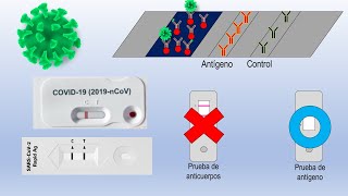 Sarscov2 Antigen Tests  How They Work And How To Interpret Them